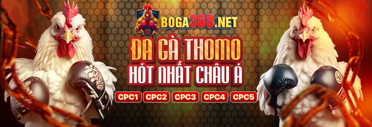 Liên hệ hỗ trợ keowin365 trang chủ